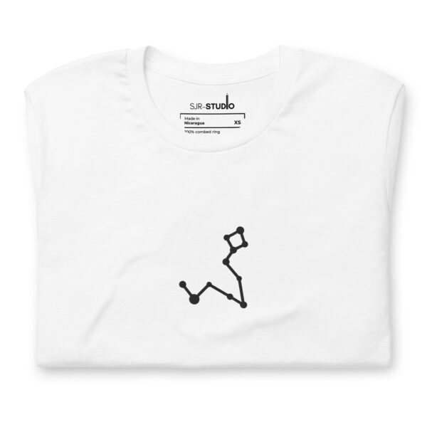 Pisces | Zodiac Constellation Series | Premium Embroidered T-Shirt