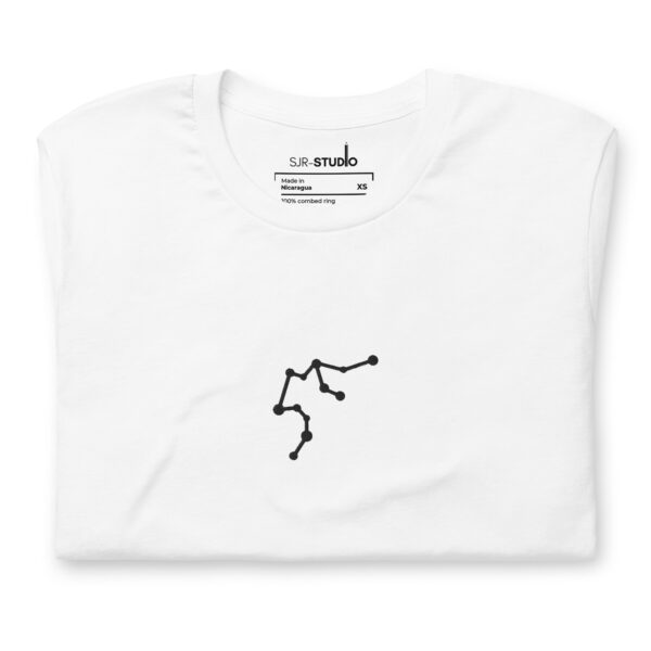 Aquarius | Zodiac Constellation Series | Premium Embroidered T-Shirt